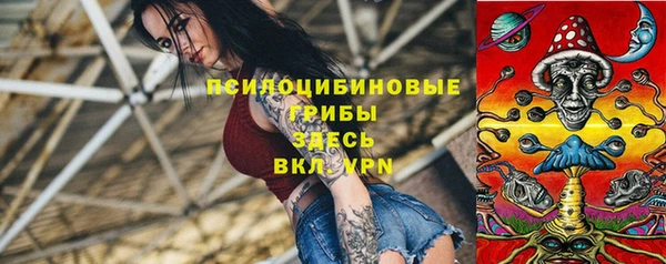 МДПВ Абаза