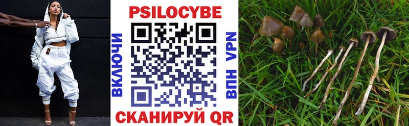 площадка формула  закладка  Севастополь  Псилоцибиновые грибы мицелий 